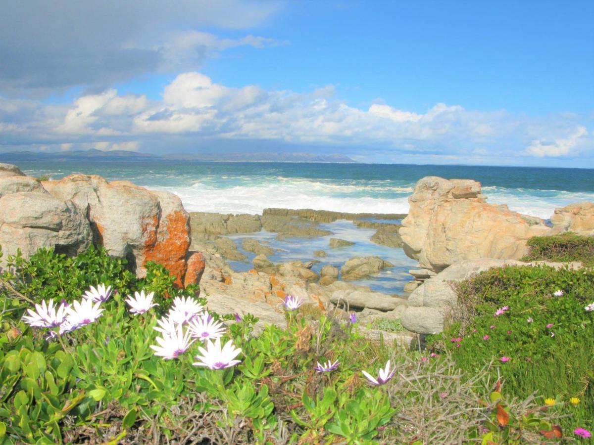 Beachfront Cottage - Hermanus Whale View Exterior foto