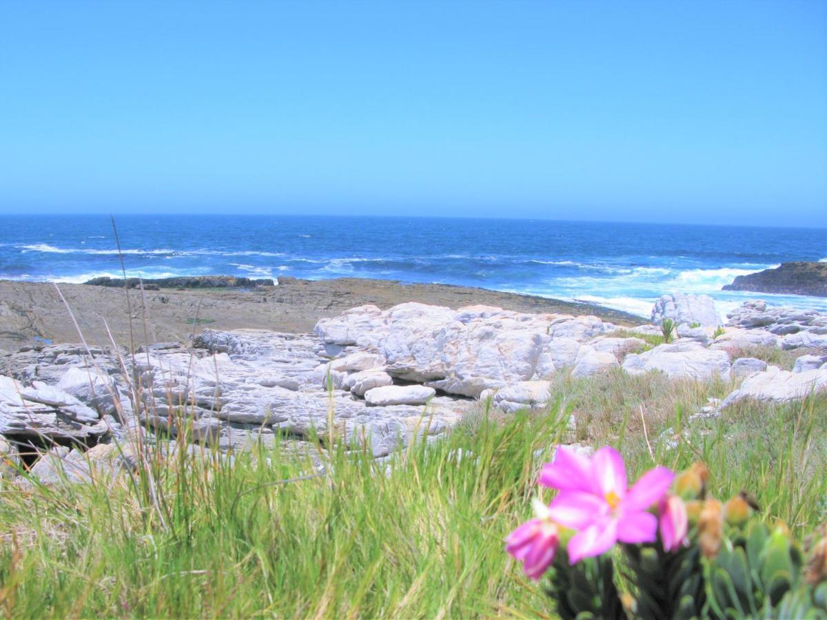 Beachfront Cottage - Hermanus Whale View Exterior foto